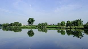 惬意！晨游渭河畔的西安湖