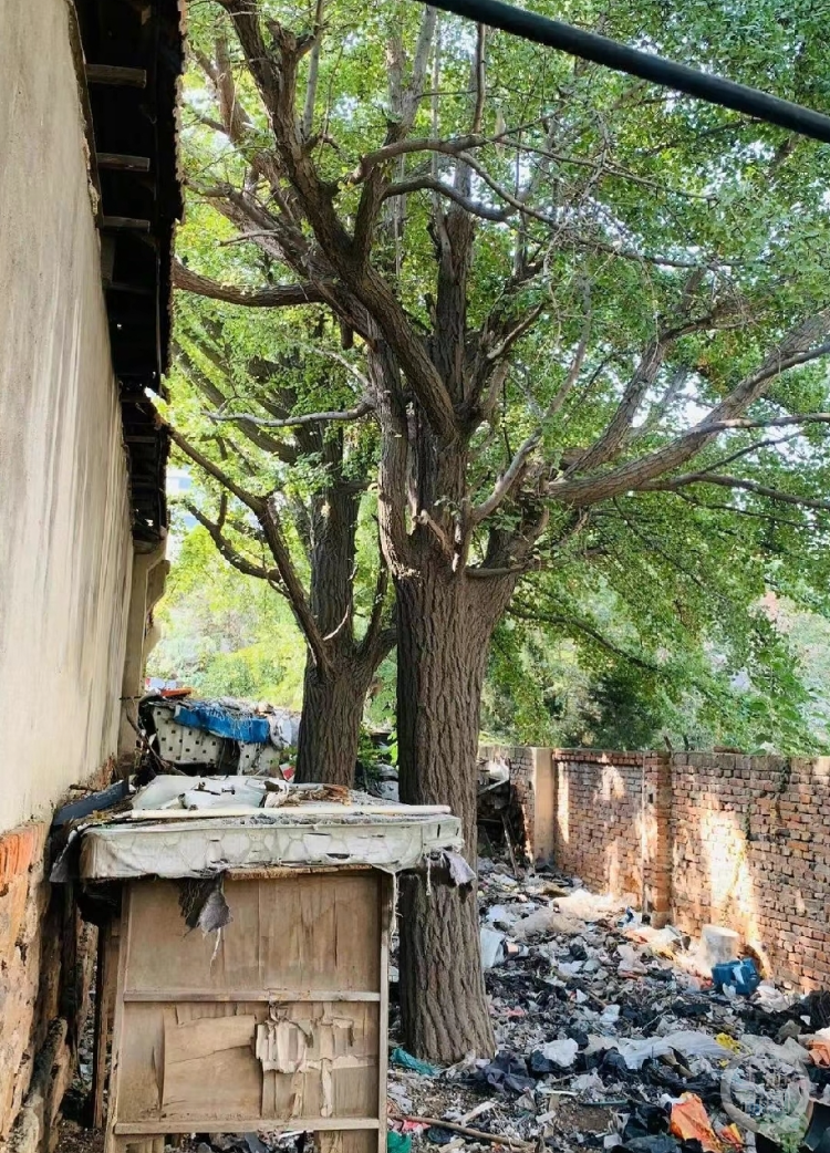 青岛“警察公墓”旧址荒废垃圾成堆 回应：地块有争议 正协商处理