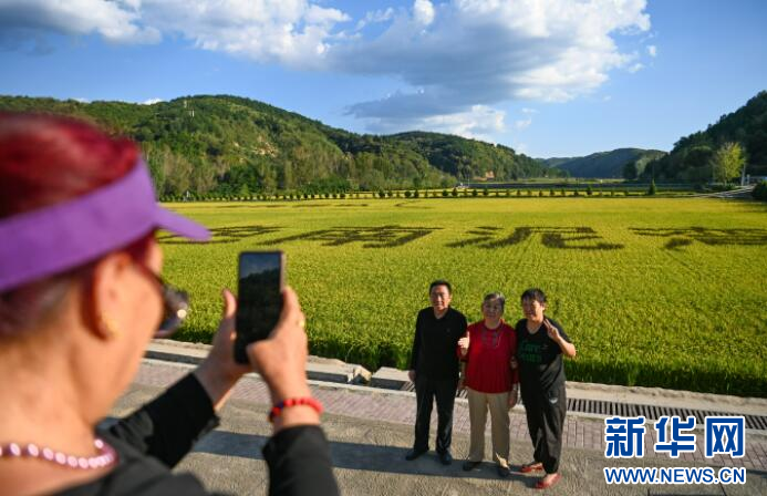 8月29日，游客在陕西延安南泥湾国家湿地公园的稻田前留影。新华社记者 邹竞一 摄