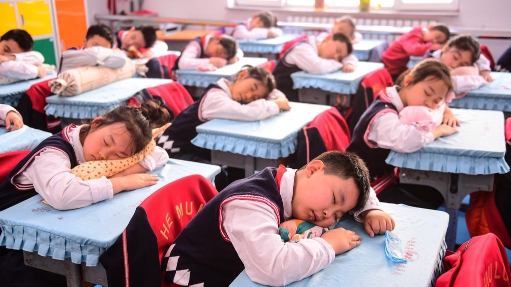 华商头条|教育部答复“关于尽快实施午休‘舒心躺睡’工程的建议”