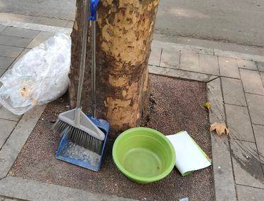 小8跑街|盲道被挡 路有杂物 安东街这些问题待整改
