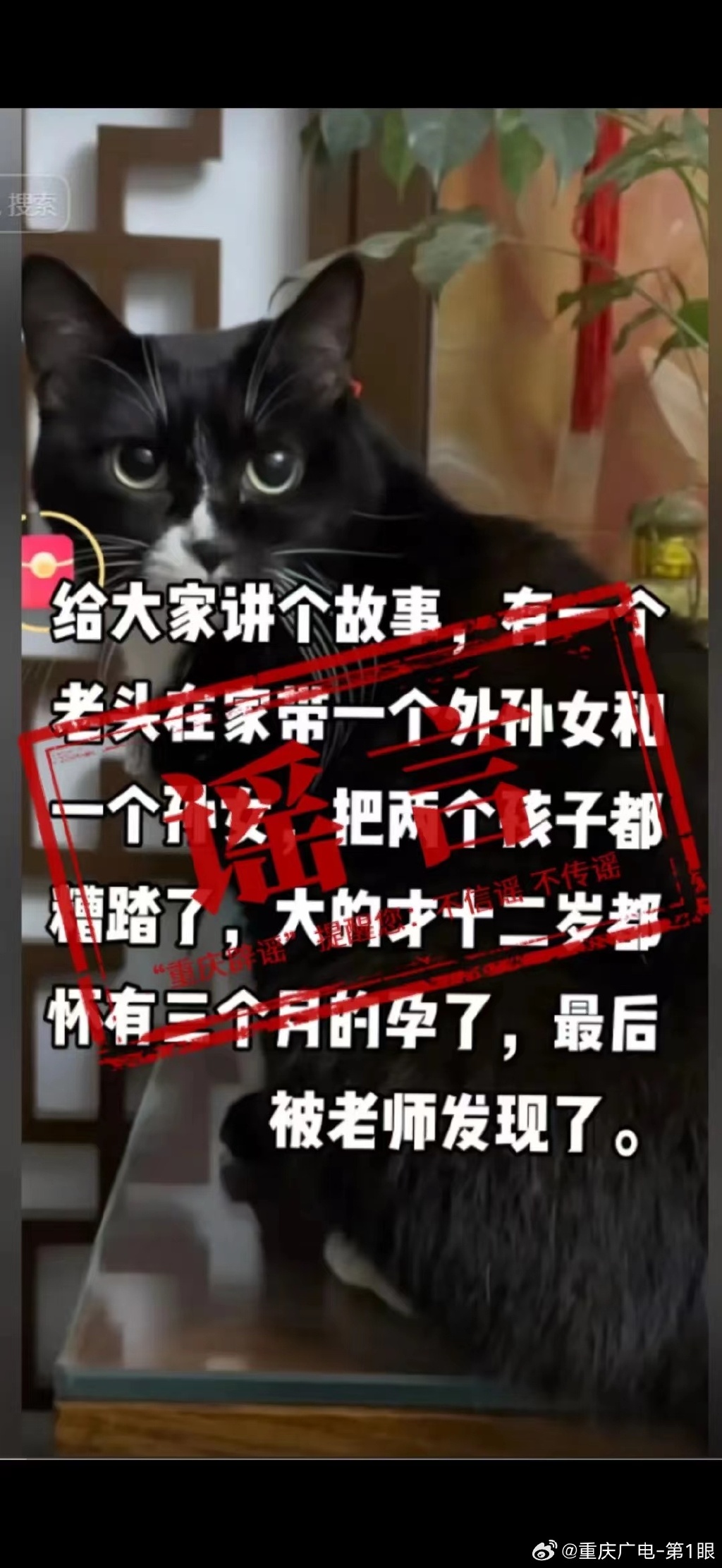 a7db4e88ly1hkcygmi43kj20u01t4qe3.jpg