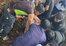 云南丽江有乡镇倡议不搞“杀猪饭”引热议 官方：倡议节俭 并非禁办