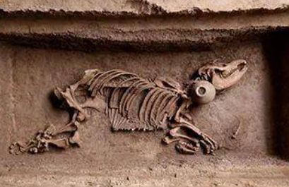 汉文帝霸陵动物殉葬坑入选“2023年世界十大考古发现”