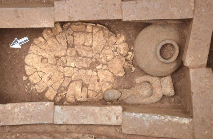 汉文帝的地下皇家动物园 逾半米陆龟背甲发掘出土