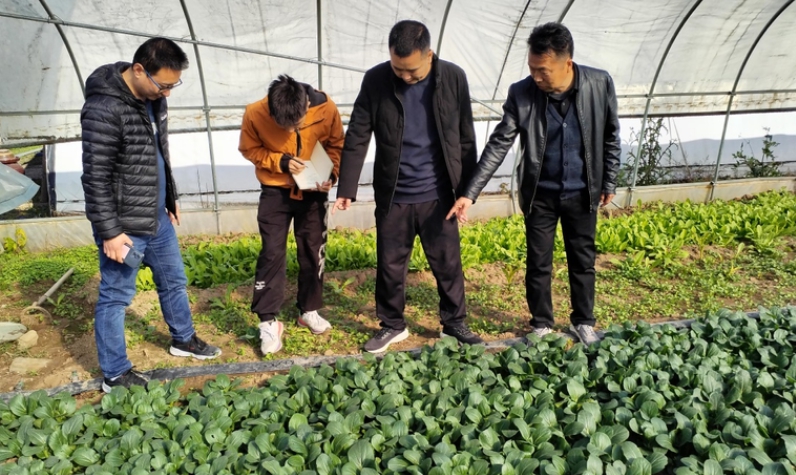 西安审计关注“菜篮子”工程建设和绩效情况