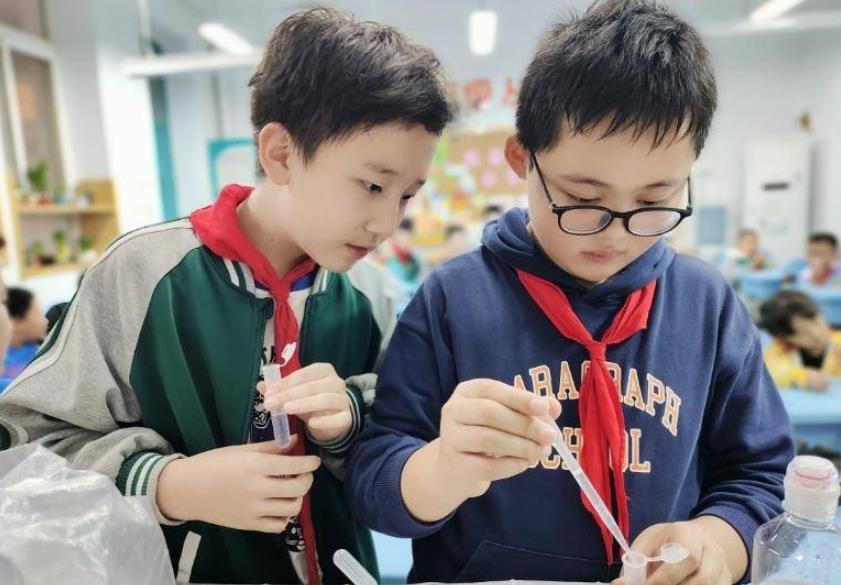 新城区：学校环境更美 设施设备更好 课程设置更多元