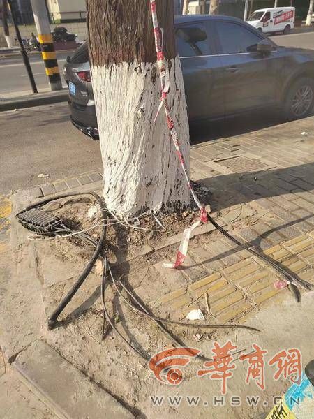 小8跑街|汉城南路人行道上线缆凸起易绊人