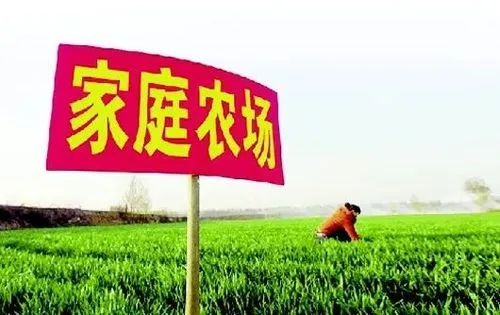 华商头条|陕西命名第三批8个家庭农场省级示范县