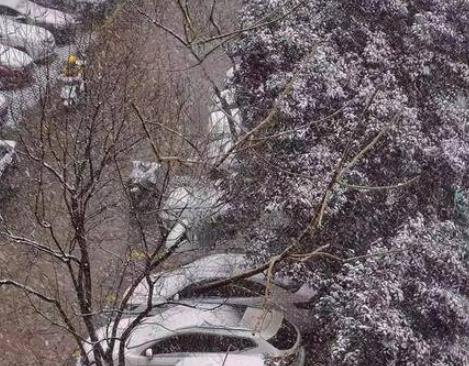 雪天出行要小心！女子骑电动车滑倒磕伤 步行适合走“企鹅步”