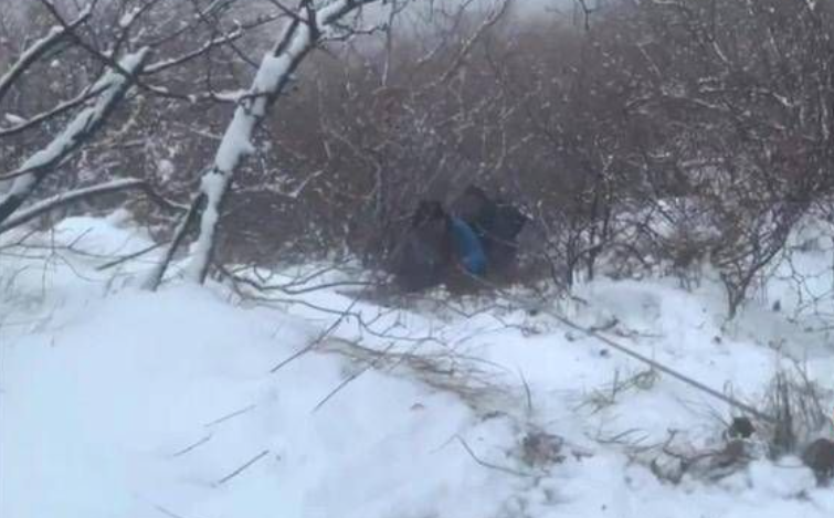 紧急营救！大学生雪天“勇闯”华山被困7小时