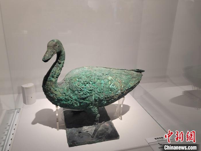 1月31日展出的青铜水禽。中新社记者 阿琳娜 摄