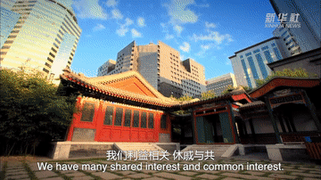 5.gif
