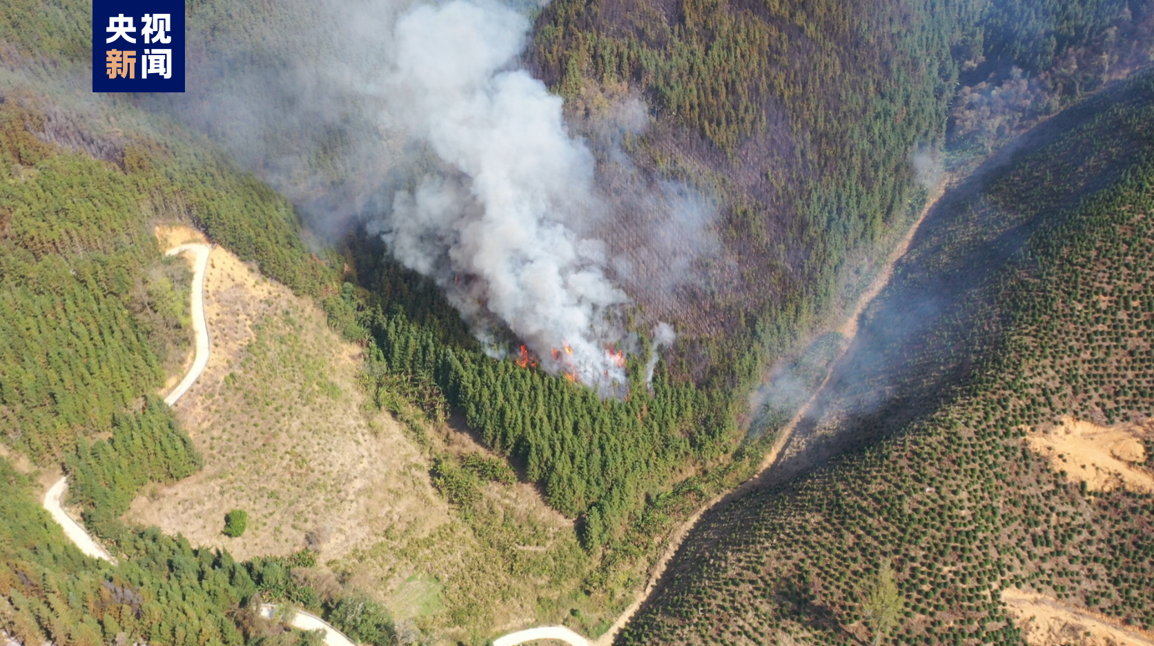 广西天峨发生3起森林火灾均已扑灭，无人员伤亡
