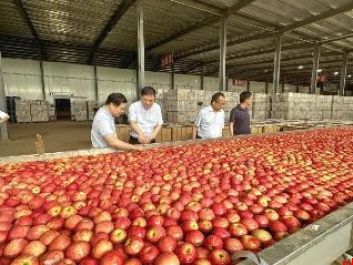 建行渭南分行加大高质量服务供给力度 推动渭南经济高质量发展