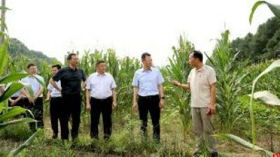 汉中市农村合作金融机构“十个助力”支持地方经济发展