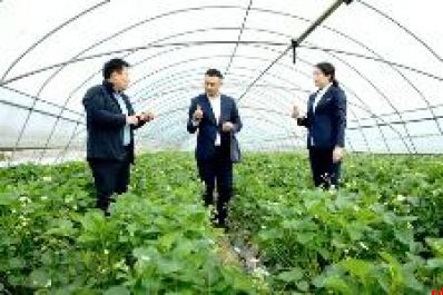 汉中市农村合作金融机构“十个助力”支持地方经济发展