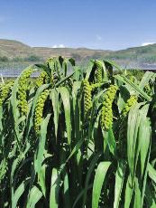 ki4K5Q1KNkDBEoWj.jpg 32f29cbe62f18a61a9c4befc56773641.jpg