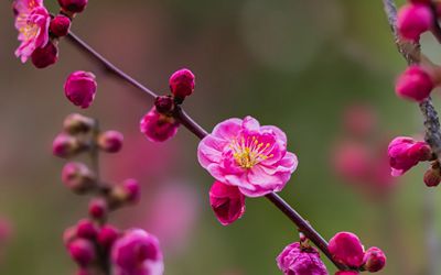 华商论坛|西安论坛_陕西人气网络社区,区域影响力论坛.