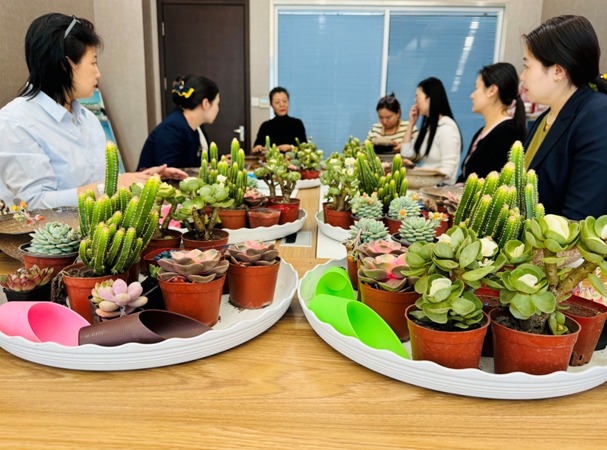 恒丰银行咸阳分行开展国际劳动妇女节diy多肉种植活动