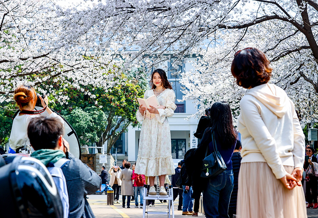 直击武大樱花开放实行网络预约不收任何费用