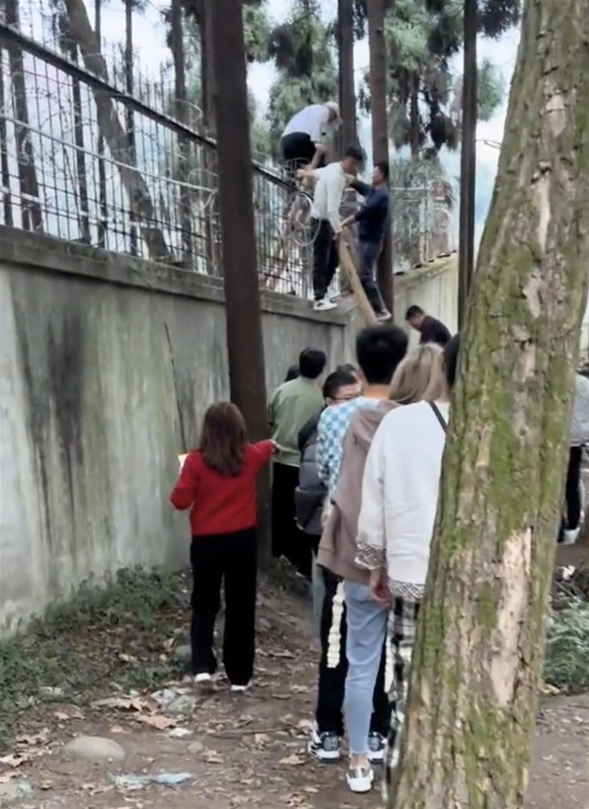 黄牛收费60元带游客爬梯翻墙进都江堰景区 官方回应