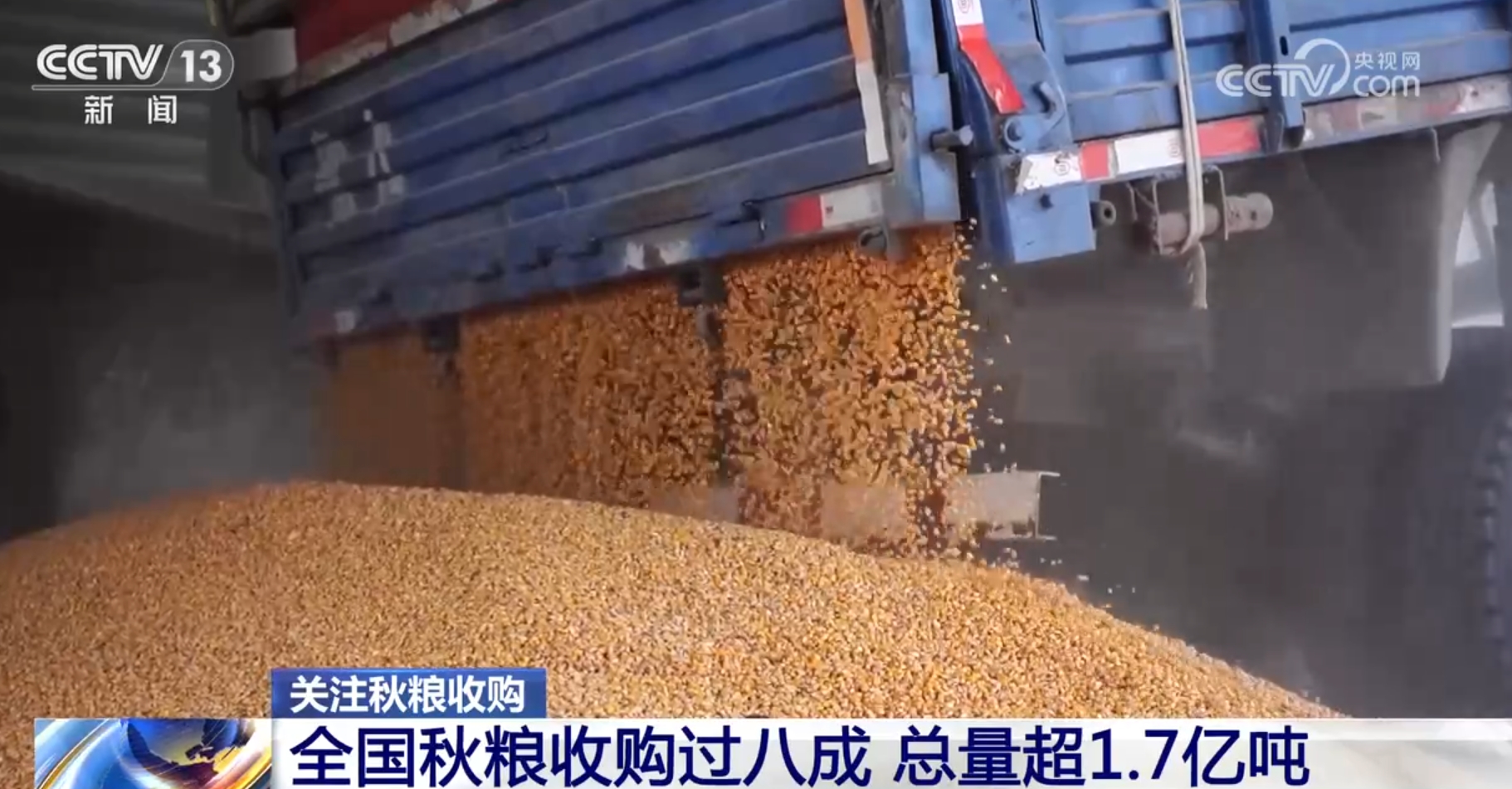 全国秋粮收购过八成阳光交易铁拳行动发力守护大国粮仓