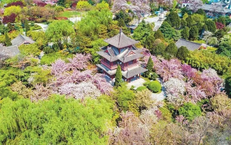 华商头条|西安成今年首个30℃北方省会城市 预计未来3天最高温29℃