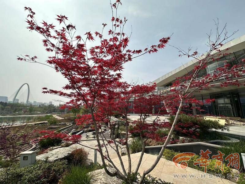 开云 开云体育平台西安中亚公园下个月对外开放 在“家门口”就能体验异国文化(图4)