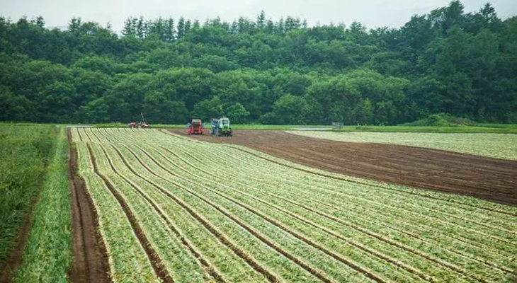 陕西发布春夏播农作物品种布局指导意见