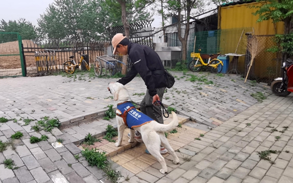 国际导盲犬日 | 关心盲人，关爱导盲犬 来倾听他们的故事