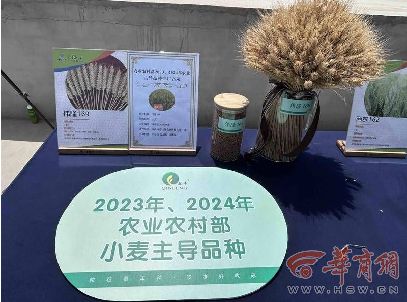 陕西省重点项目观摩（关中片区）走进宝鸡、杨凌、咸阳、渭南(图5)
