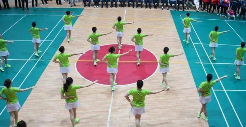 华商头条|2024年陕西省老年人气排球交流活动在白河县举行