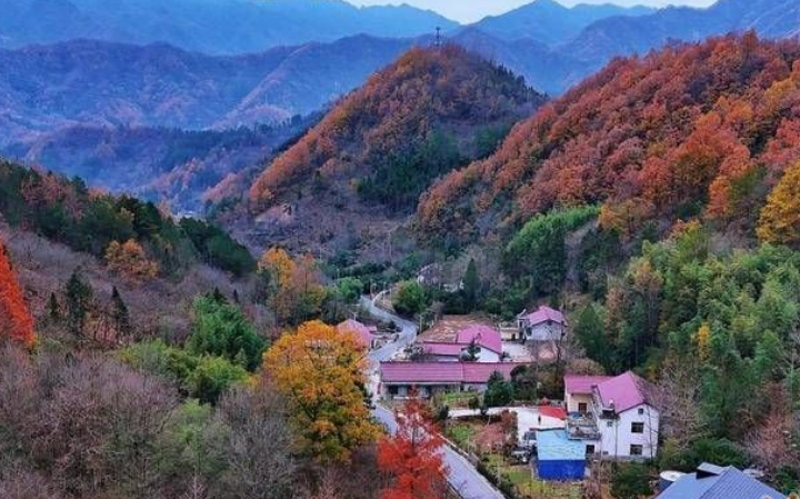 2023年全国“最具人气的路” 发布 佛坪县一条路入选