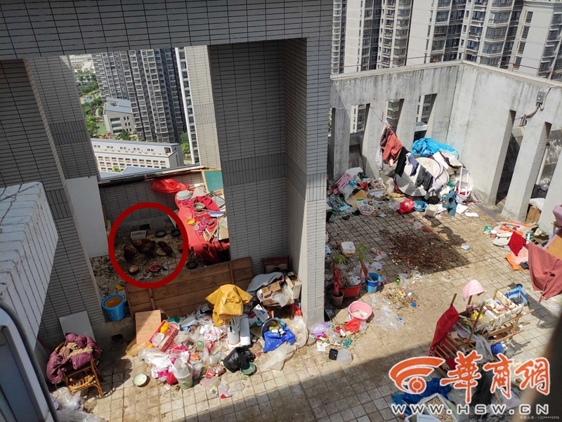 网友反映兴隆社区公用天台垃圾成灾 喂养鸡狗  街道办：正在清理中，将持续关注