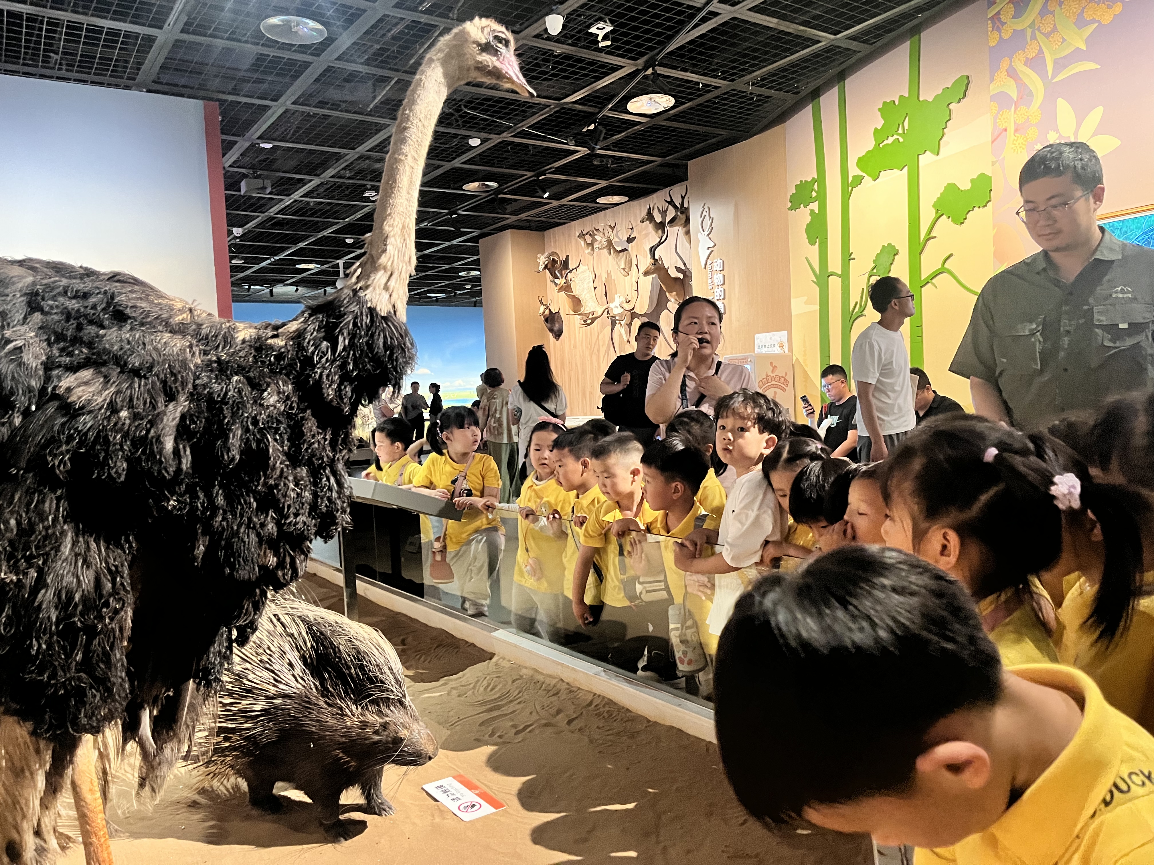 微信图片_20240529171751.jpg