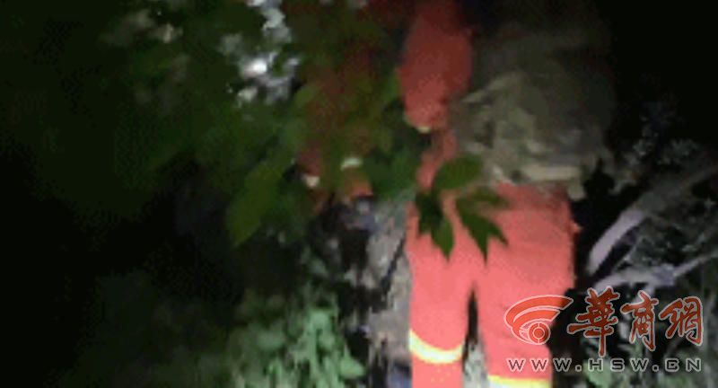 微信图片_20240603100737.jpg