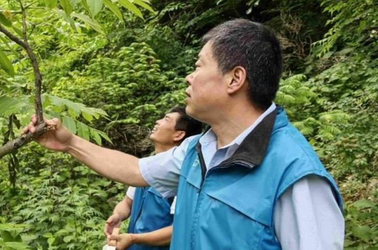 “秦岭守护者” 数十载坚守只为绿水青山