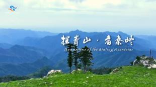 Summertime of the Qinling Mountains