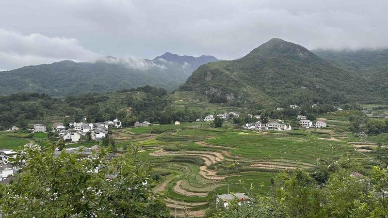 高质量发展调研行|在文物上种田、在家门口就业 千年古梯田成为村民“福地”
