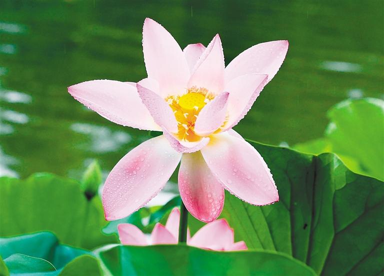 夏日古城美如画