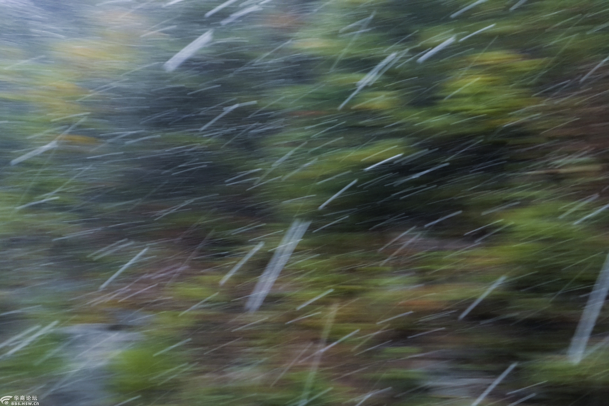 主题:夏日中的凉爽落雨黄昏