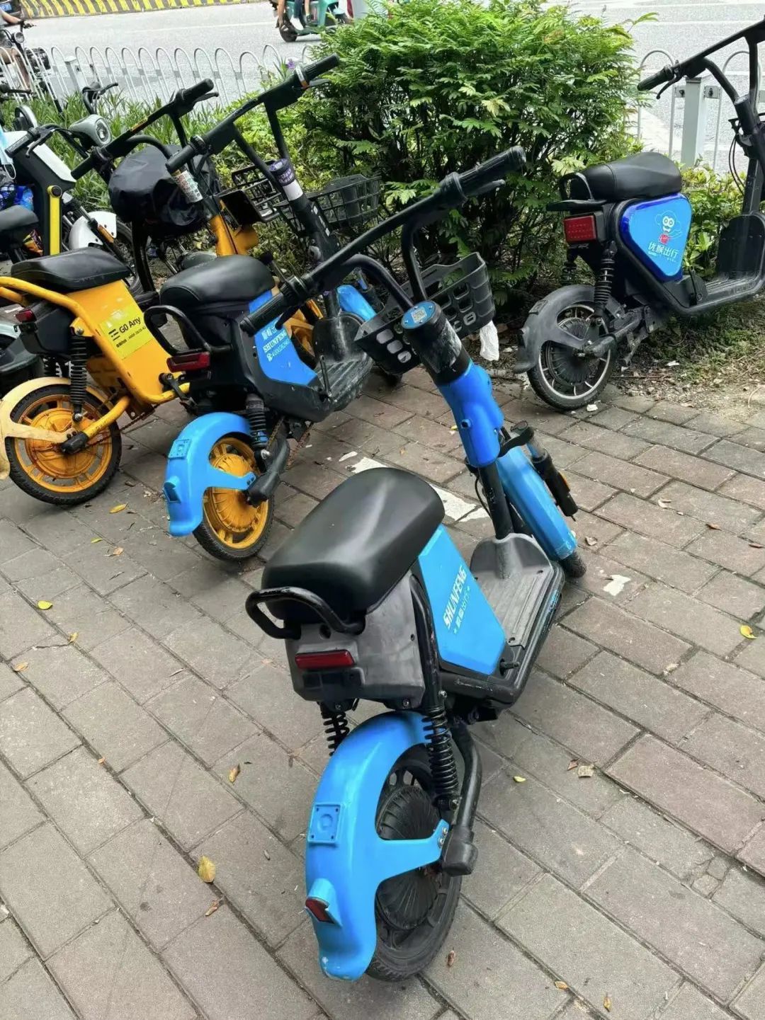 广州市路边停放的共享电单车