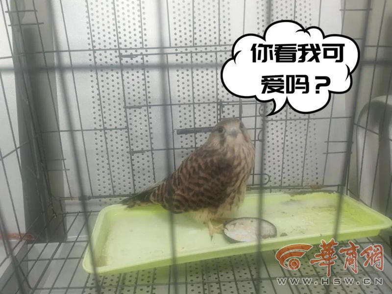 429facdd9c95babbc3e15e2dbb04312.jpg