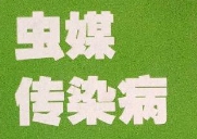 华商头条|疾控专家提醒汛期积极预防虫媒传染病