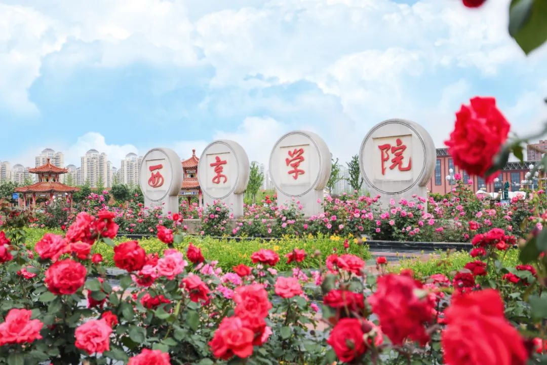 华商头条|选学校还是专业？2024年高考填志愿，二本考生如何抉择