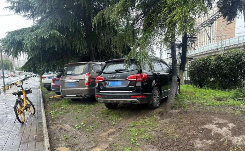 西安米秦路多辆车停在绿化带 城管执法局：安装新的隔离桩