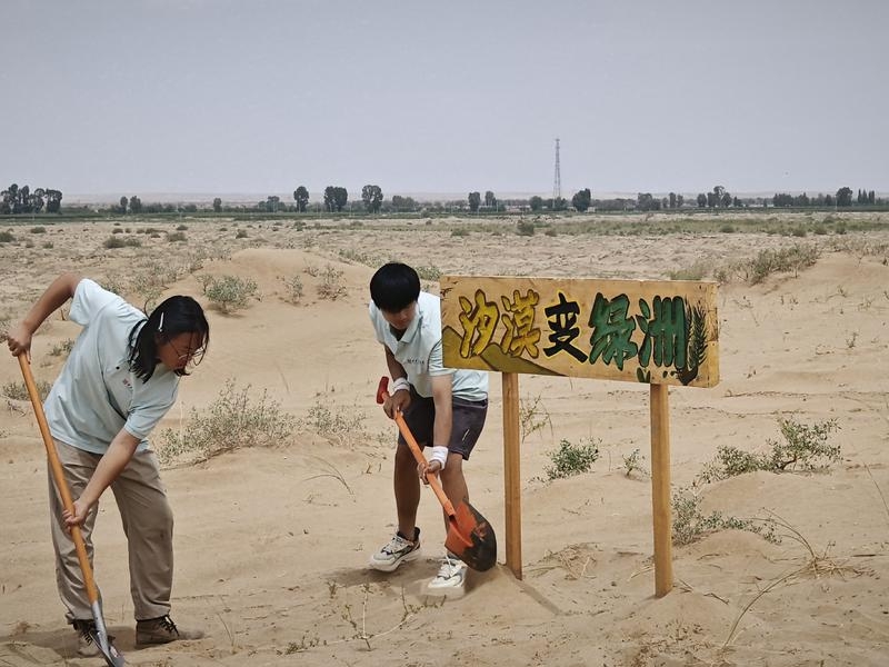 西安美术学院社会实践服务队深入腾格里沙漠腹地 留下“绿洲”和“色彩”