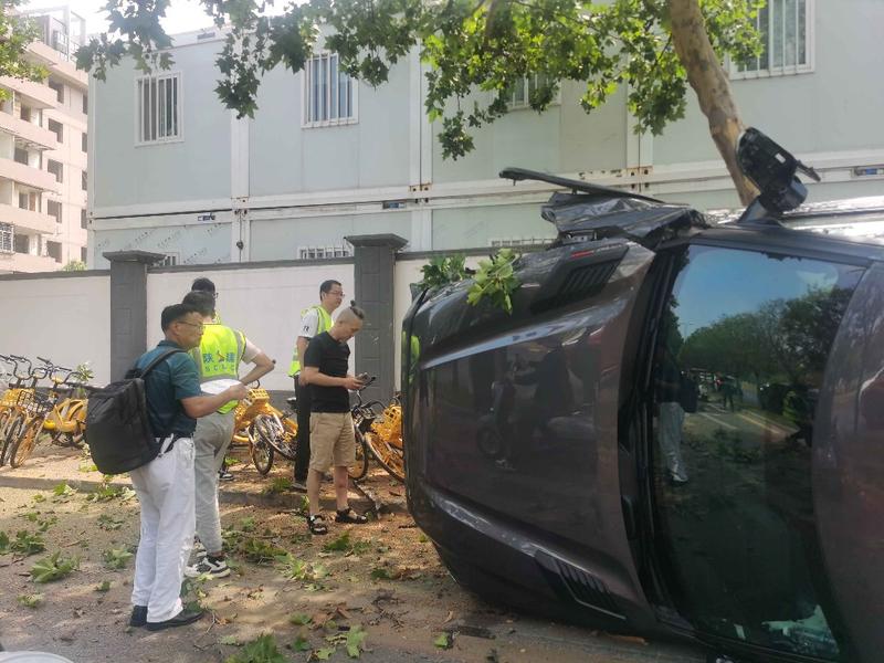 小车“疯狂”撞向行道树