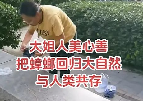 华商头条|女子在小区放生活体蟑螂 律师：若属入侵物种或涉嫌犯罪